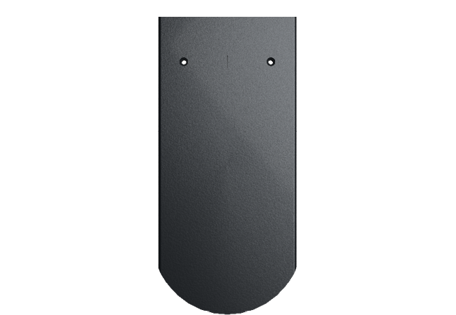 Meyer-Holsen_Biber_carbongrau_einzel_2025