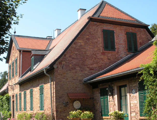 Meyer-Holsen_Denkmalschutz_Galerie_Biber_Sonderformat_SchlossWolfsgarten